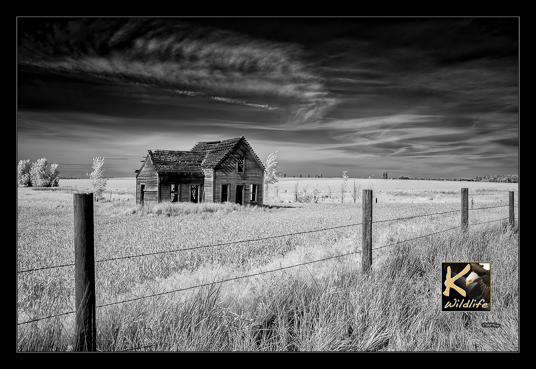 farm_IR 