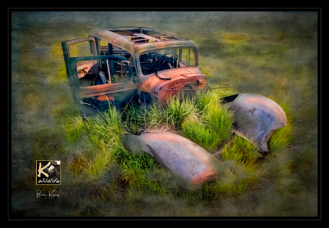 car-in-field 1