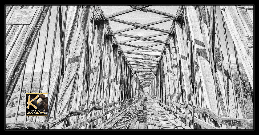 rail bridge
