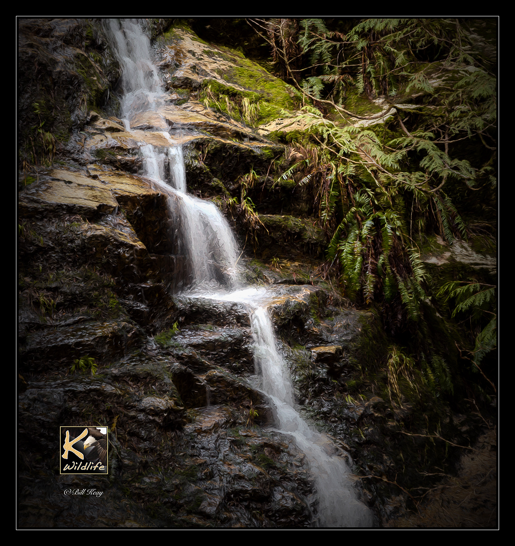 rocky stream 1