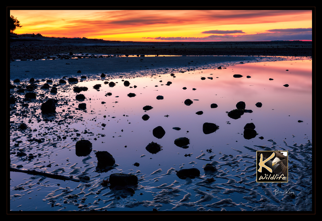 rocks Davis Bay...