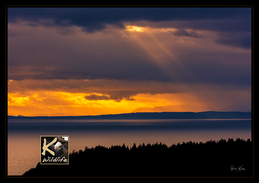 Salish Sea 4