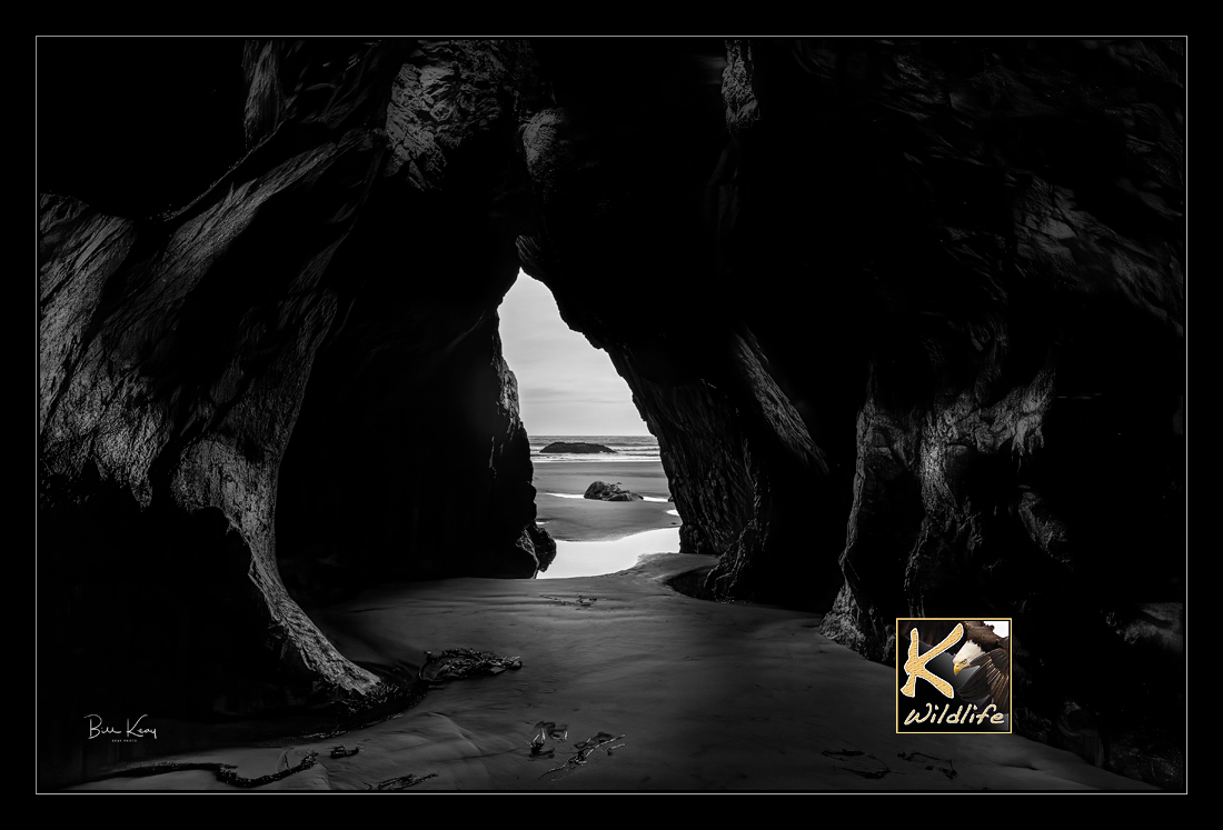Tofino Cave B & W