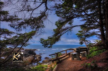  Bench on Ucluelet trail 