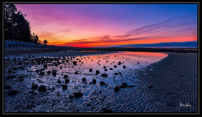 Davis Bay rock pond
