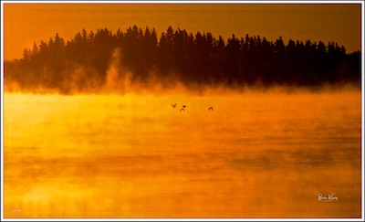 lake family