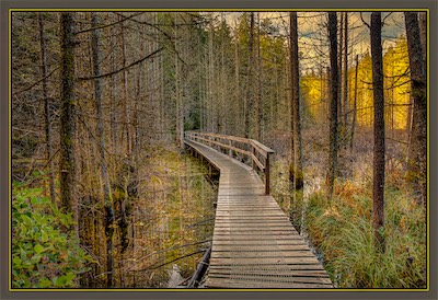 nature walk - Sunshine coast