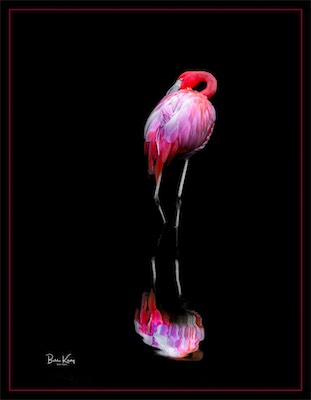 flamingo stand reflection