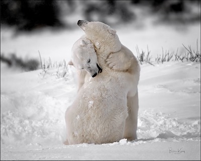 hug