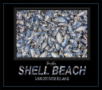 shell beach poster